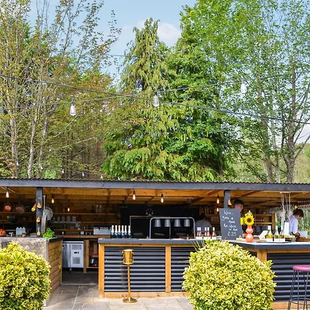 Fuchsia - Uk50454 러스워프